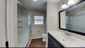 Rental House Bathroom